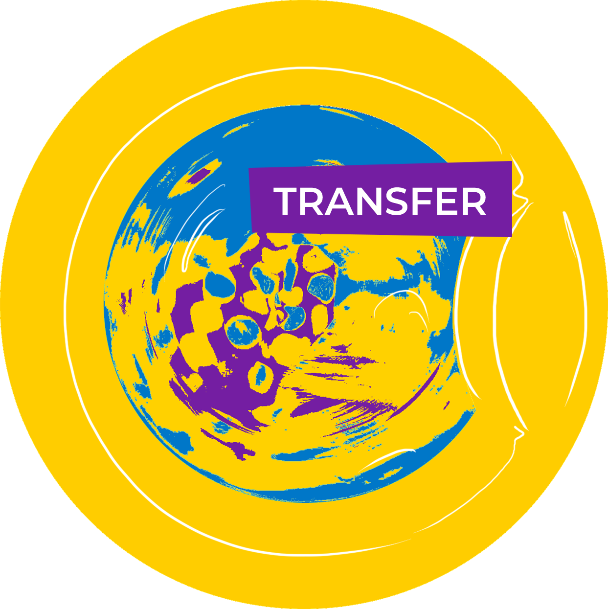 a washer as a symbol for transferring learning, with the label TRANSFER